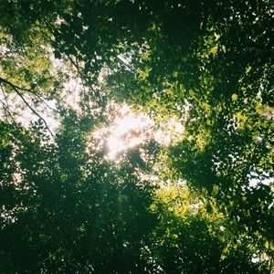 Meet your Posher, Sabine